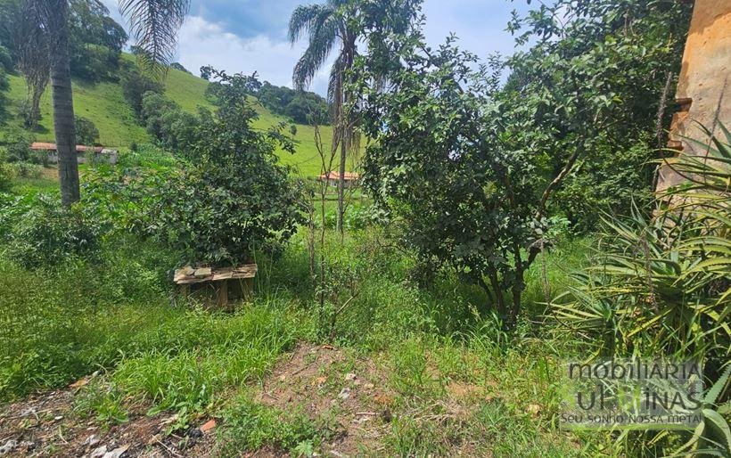 Chácara de 5850m² as margens da pista para Consolação MG à Venda Cód. 2092 (1)