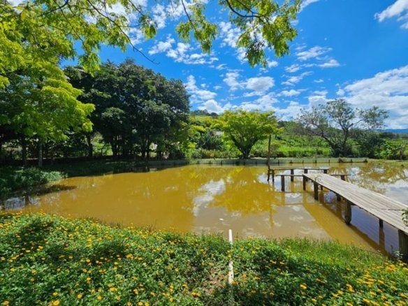 Chácara de 2700m² com tanque de peixe à Venda em Cambuí MG Cód. 2121 (26)