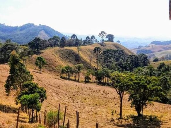 Sítio com 21 hectares à Venda em Senador Amaral MG Cód 1332 (9)