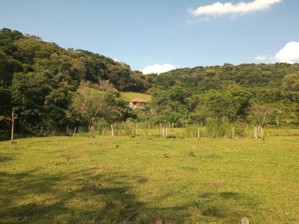Sítio com 3 alqueires e plantação de café orgânico à Venda em Munhoz MG Cód. 2109 (12)