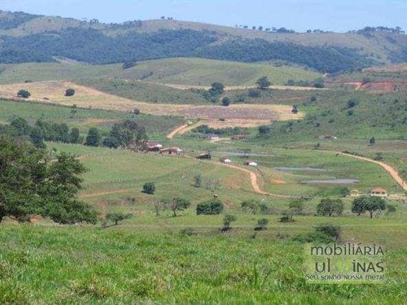 Fazenda de 9 Alqueires à Venda em Monte Sião MG Cód. 2135 (32)