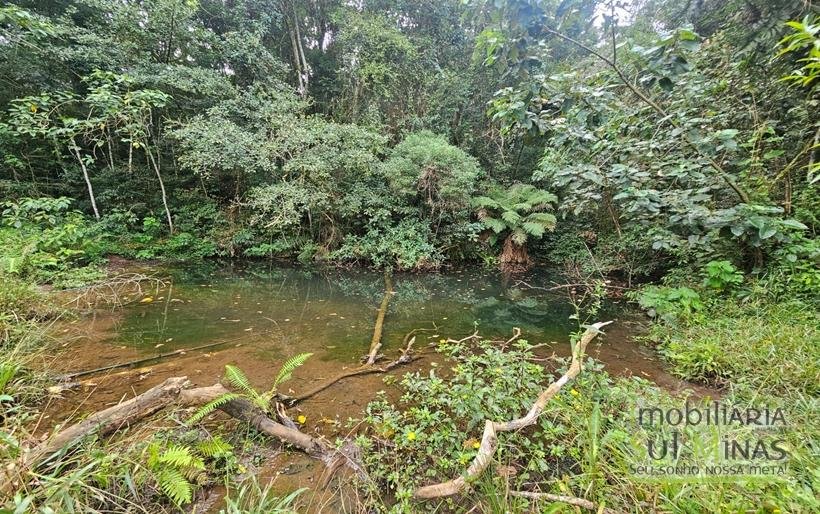 Sítio com 21 hectares à Venda em Senador Amaral MG Cód 1332 (12)