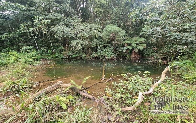Sítio com 21 hectares à Venda em Senador Amaral MG Cód 1332 (13)