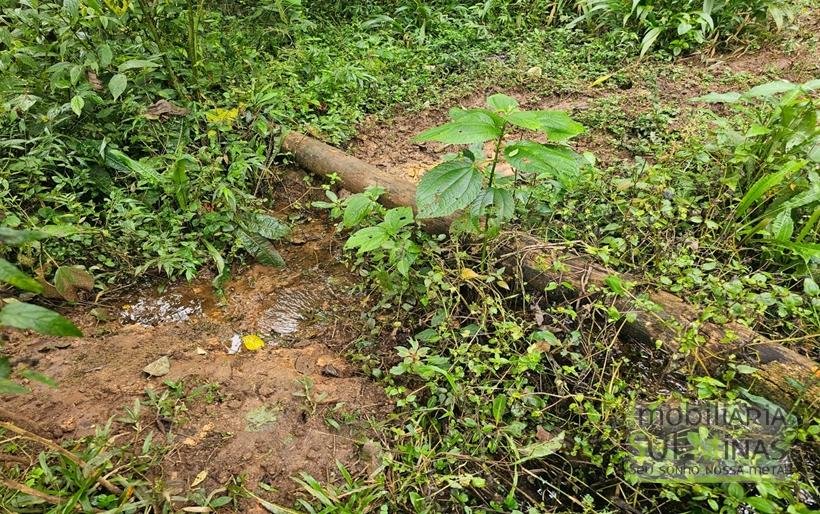Sítio com 21 hectares à Venda em Senador Amaral MG Cód 1332 (18)