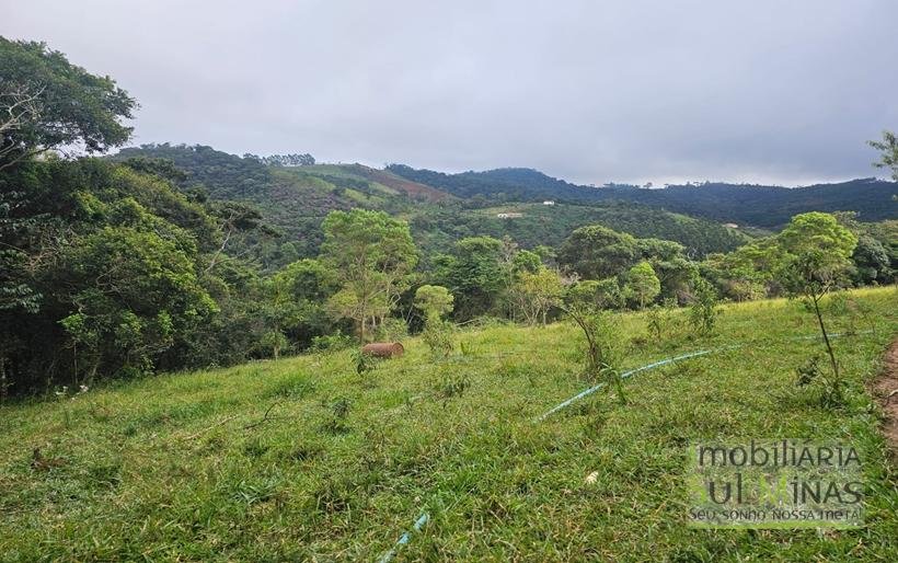 Sítio com 21 hectares à Venda em Senador Amaral MG Cód 1332 (7)