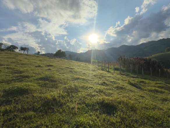 Sítio com 72.000m² à Venda em Cambuí MG COD 2156 (10)