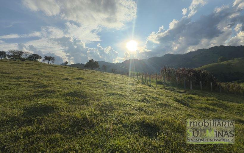 Sítio com 72.000m² à Venda em Cambuí MG COD 2156 (10)