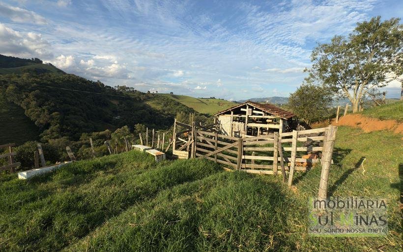 Sítio com 72.000m² à Venda em Cambuí MG COD 2156 (14)