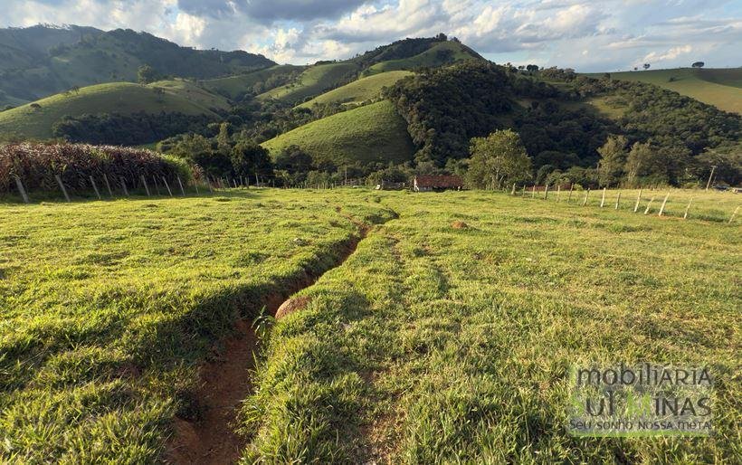 Sítio com 72.000m² à Venda em Cambuí MG COD 2156 (16)