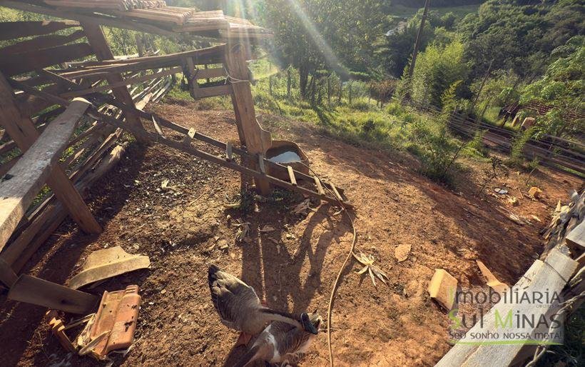 Sítio com 72.000m² à Venda em Cambuí MG COD 2156 (19)
