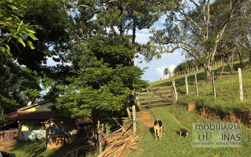 Sítio com 72.000m² à Venda em Cambuí MG COD 2156 (25)