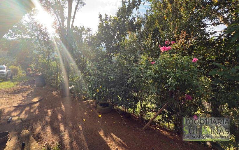 Sítio com 72.000m² à Venda em Cambuí MG COD 2156 (33)