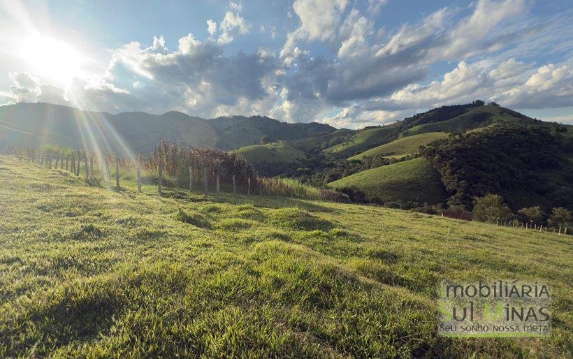 Sítio com 72.000m² à Venda em Cambuí MG COD 2156 (6)