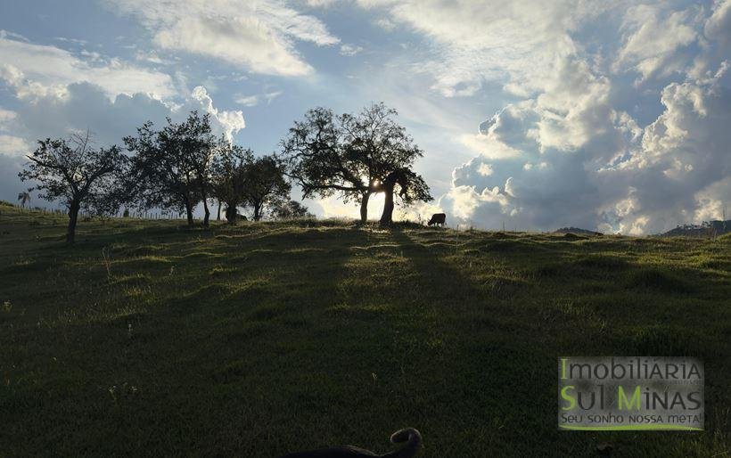 Sítio com 72.000m² à Venda em Cambuí MG COD 2156 (7)