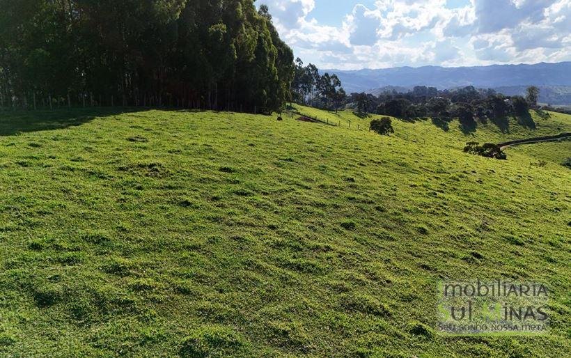 Terreno de 20.000 m² com Ótimo Aproveitamento à Venda no Córrego do Bom Jesus MG Cód. 1855 (4)