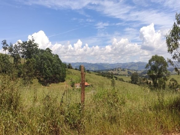 Terreno com 1.075 m² próximo a cidade à Venda em Cambuí MG COD 2169 (1)