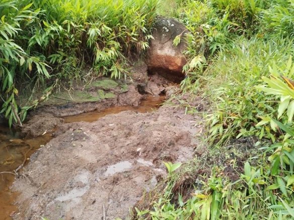 Terreno com 5 Alqueires à Venda em Paraisópolis MG Cod. 1869 (8)