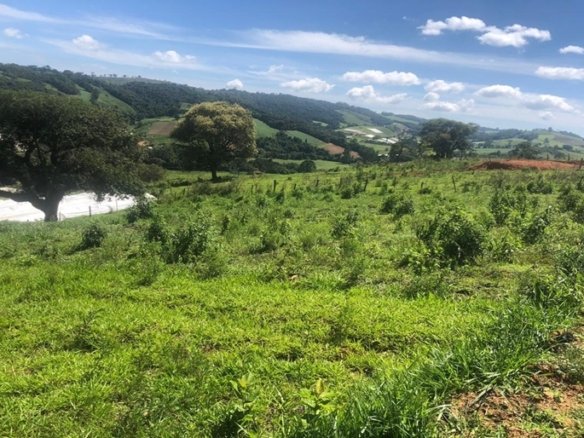 Terreno de 2.000 m² à Venda em Senador Amaral – Vende se Total ou Parcial COD 2188 (5)