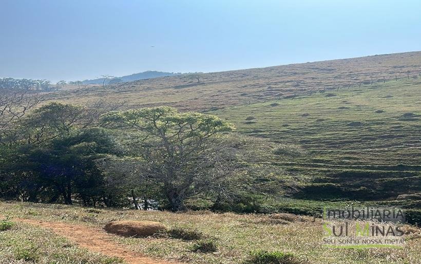 Terreno de 6.000m² à Venda em Bom Repouso MG COD 2179 (17)