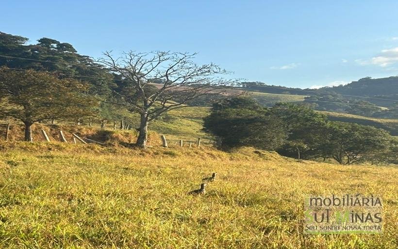 Terreno de 6.000m² à Venda em Bom Repouso MG COD 2179 (9)