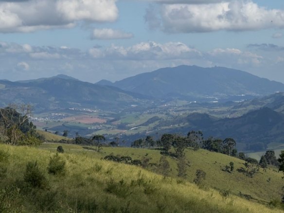Terreno de 7 alqueires à Venda em Senador Amaral MG COD 2176 (8)