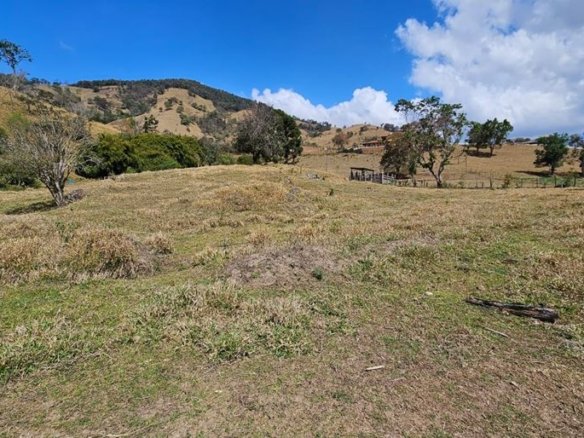 Terreno à Venda com Córrego de Água na Divisa Cód. 2199 (12)
