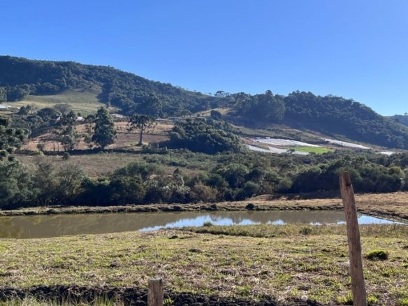 Sítio com 28.100m² À Venda em Senador Amaral MG COD2218 (19)