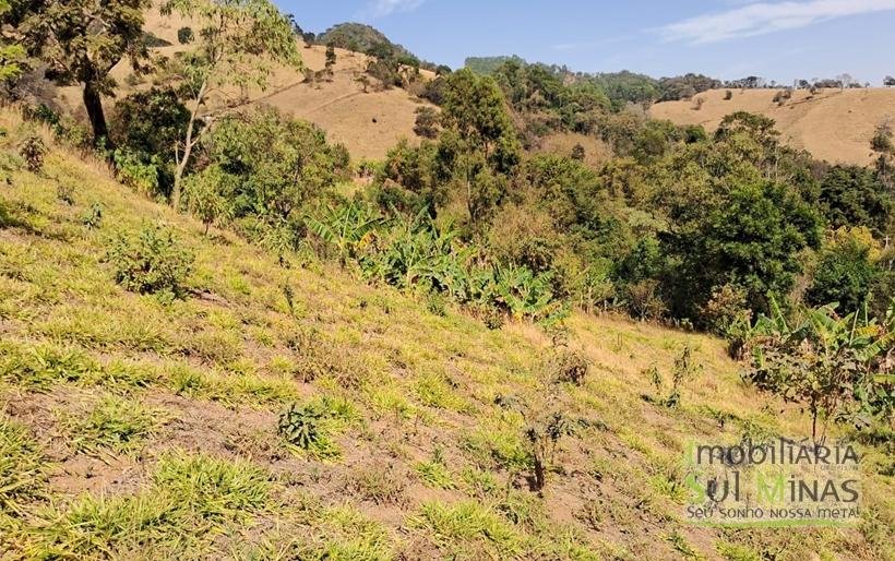 Chácara Com 3929m² À Venda em Córrego do Bom Jesus COD2241 (4)