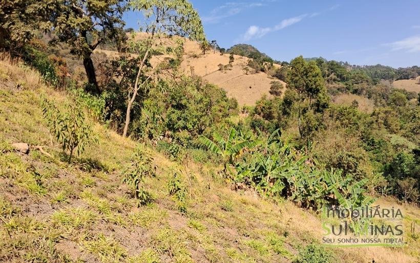 Chácara Com 3929m² À Venda em Córrego do Bom Jesus COD2241 (7)