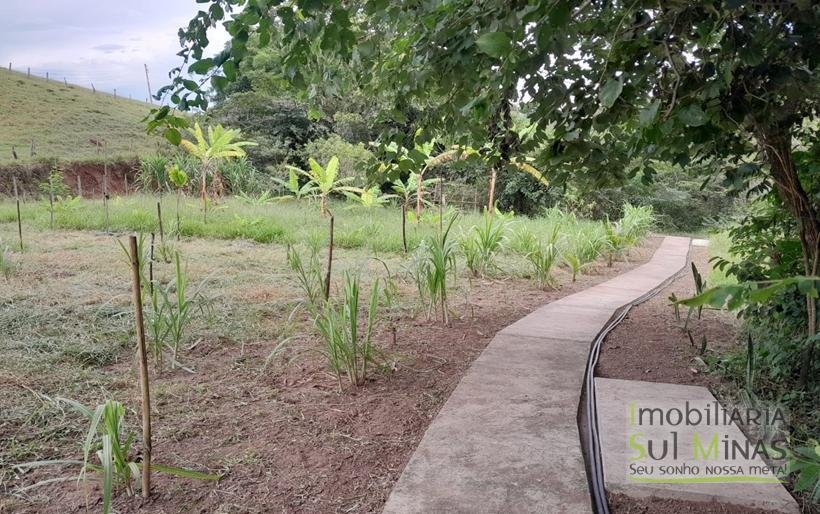 Chácara de 2.100m² À Venda Em Estiva MG COD2235 (31)