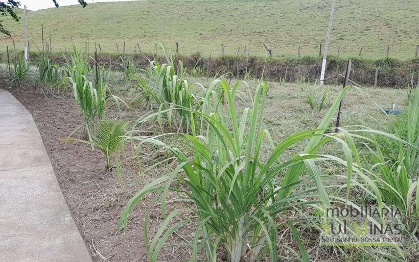 Chácara de 2.100m² À Venda Em Estiva MG COD2235 (32)