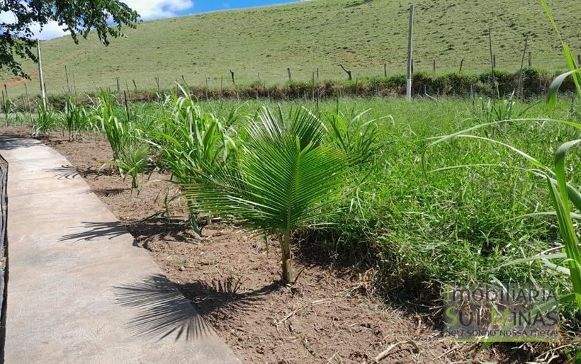 Chácara de 2.100m² À Venda Em Estiva MG COD2235 (35)