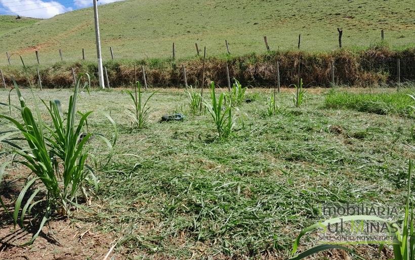 Chácara de 2.100m² À Venda Em Estiva MG COD2235 (36)