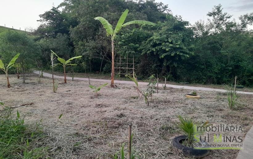 Chácara de 2.100m² À Venda Em Estiva MG COD2235 (38)