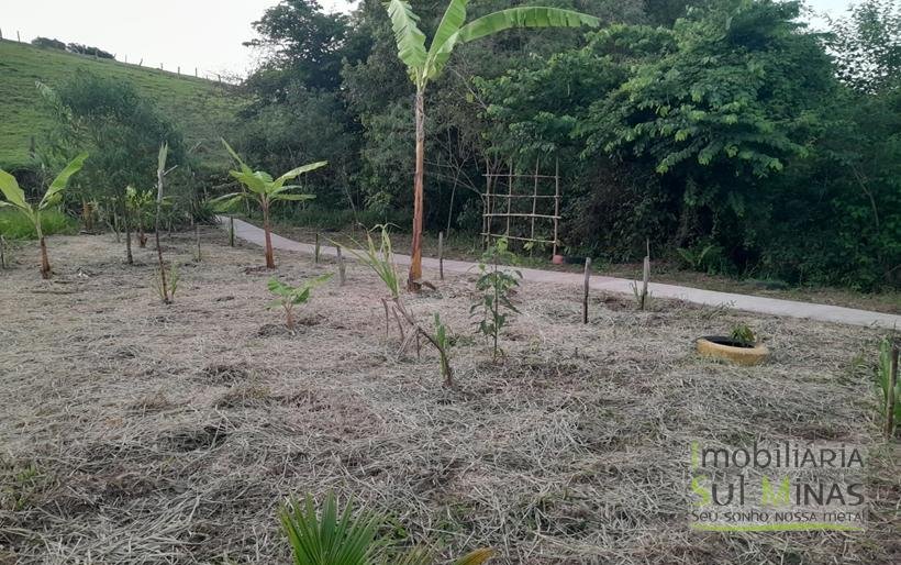 Chácara de 2.100m² À Venda Em Estiva MG COD2235 (39)