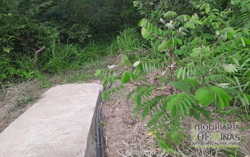 Chácara de 2.100m² À Venda Em Estiva MG COD2235 (40)