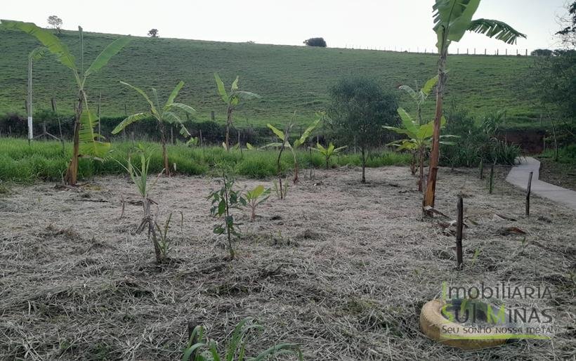 Chácara de 2.100m² À Venda Em Estiva MG COD2235 (42)