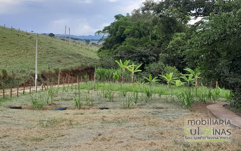 Chácara de 2.100m² À Venda Em Estiva MG COD2235 (5)