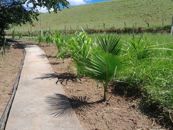 Chácara de 2.100m² À Venda Em Estiva MG COD2235 (9)
