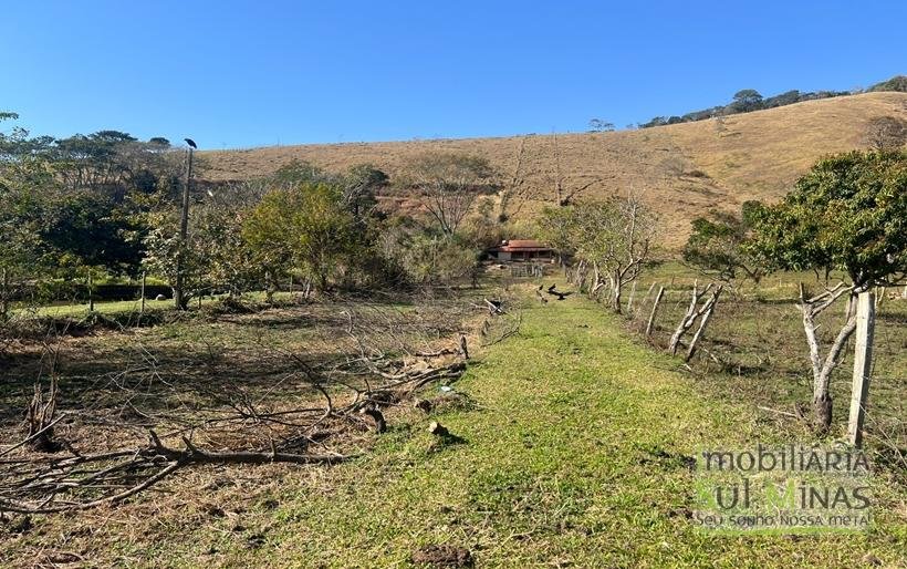 Chácara de 6.000 m² a 300m da pista em Estiva COD2246 (11)