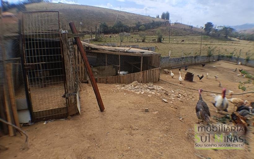 Chácara de 800 m² com Ótima Estrutura À Venda a 4 km de Cambuí COD2256 (5)