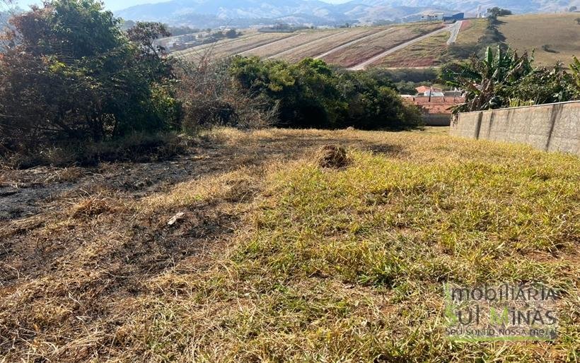Lote de 900m a venda em bairro nobre de Cambuí COD2238 (5)