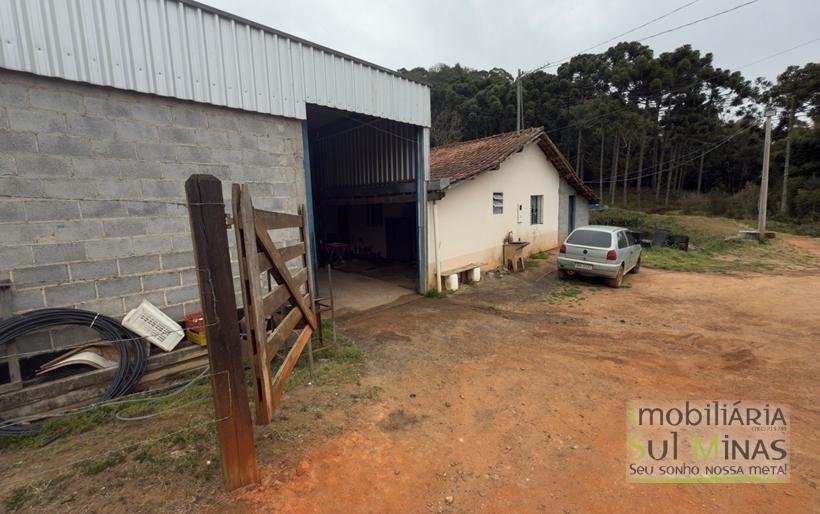 Sítio com 4 Alqueires Produzindo Morango Rica em água COD2230 (10)