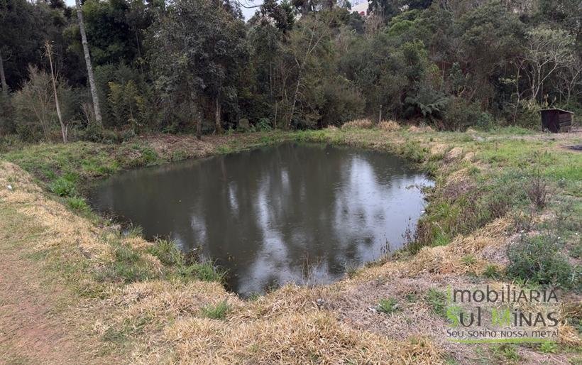 Sítio com 4 Alqueires Produzindo Morango Rica em água COD2230 (13)