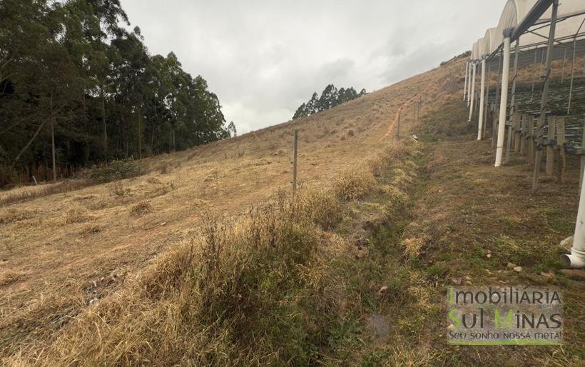 Sítio com 4 Alqueires Produzindo Morango Rica em água COD2230 (15)