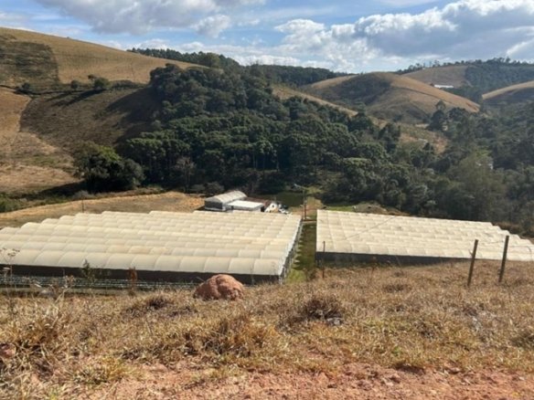 Sítio com 4 Alqueires Produzindo Morango Rica em água COD2230 (3)