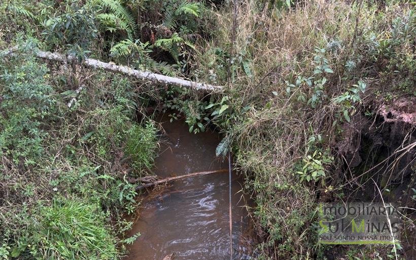 Sítio com 4 Alqueires Produzindo Morango Rica em água COD2230 (6)