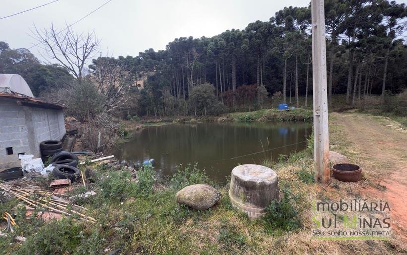 Sítio com 4 Alqueires Produzindo Morango Rica em água COD2230 (8)
