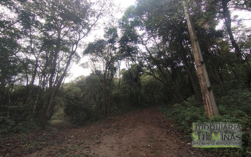 Terreno Rural Com 1 Alqueire À Venda Próximo a Senador Amaral MG COD2232 (11)