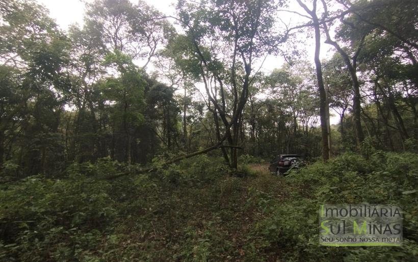 Terreno Rural Com 1 Alqueire À Venda Próximo a Senador Amaral MG COD2232 (3)
